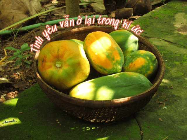 Tình yêu vẫn ở lại trong kí ức
