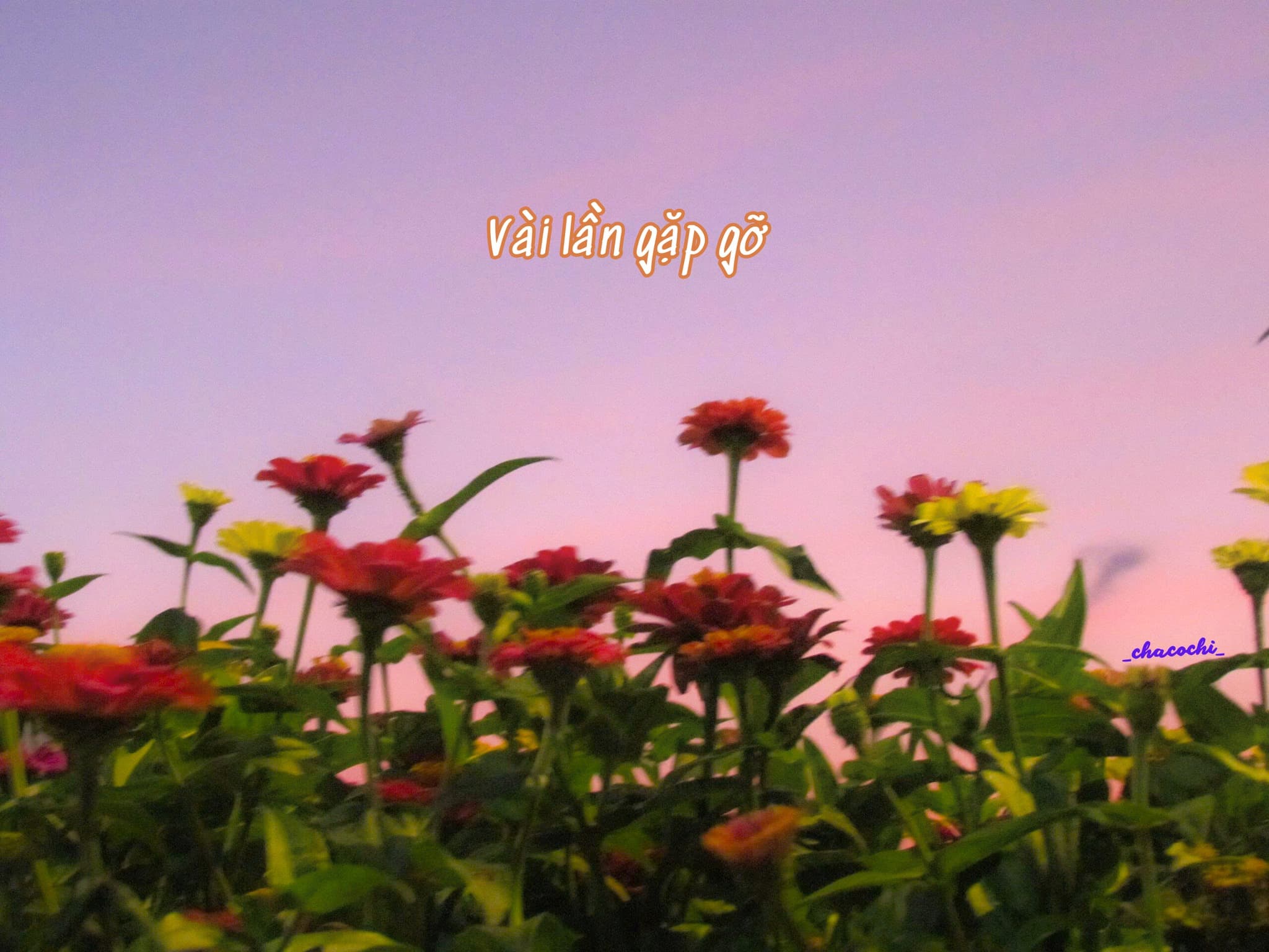 Vài lần gặp gỡ