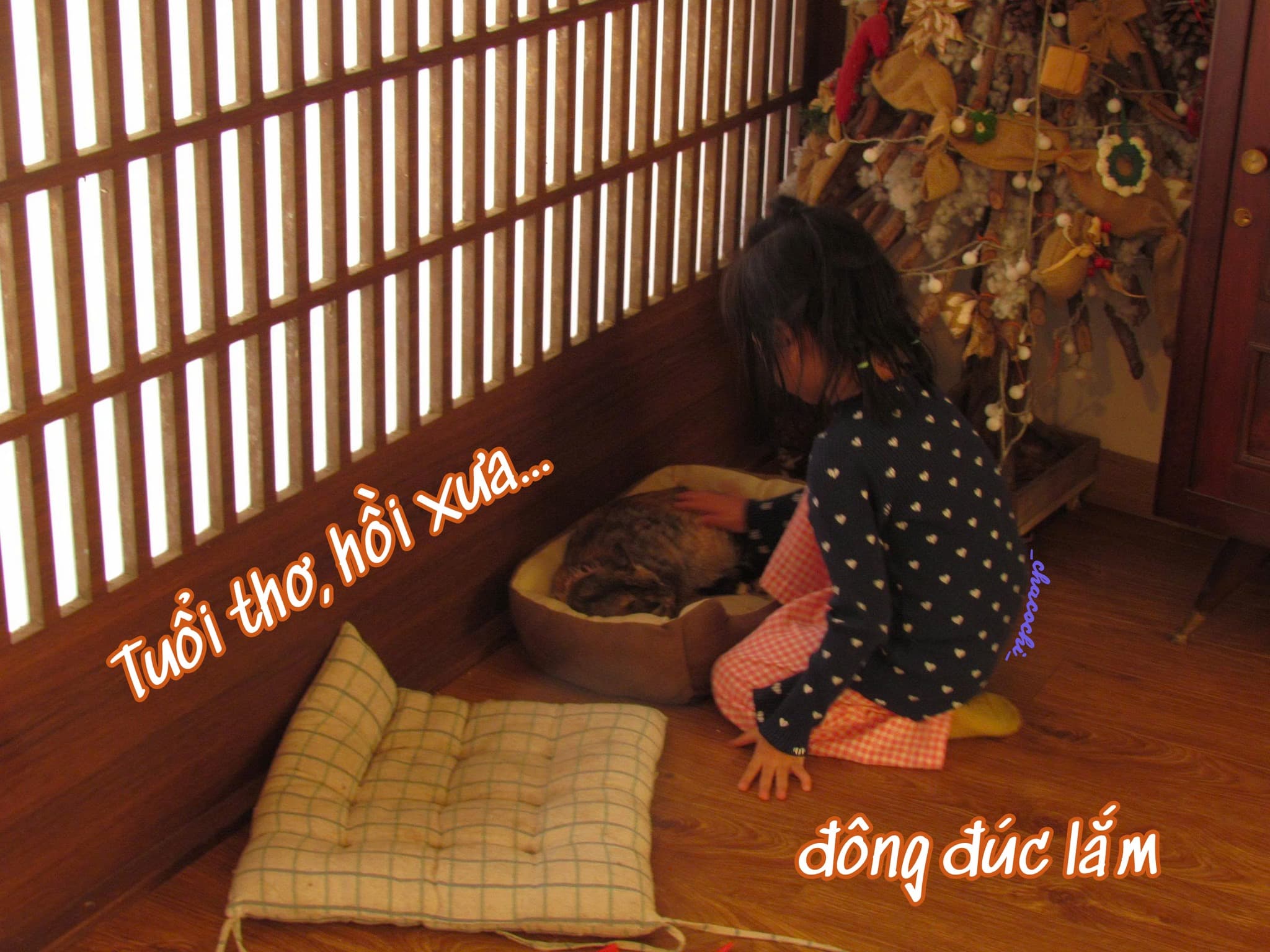Tuổi thơ, hồi xưa đông đúc lắm