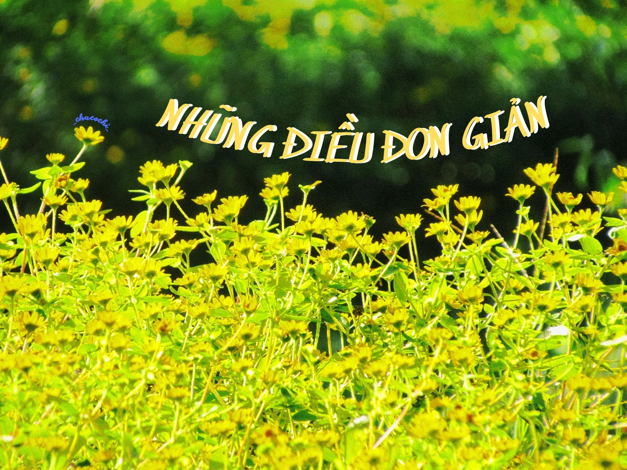 Những điều đơn giản